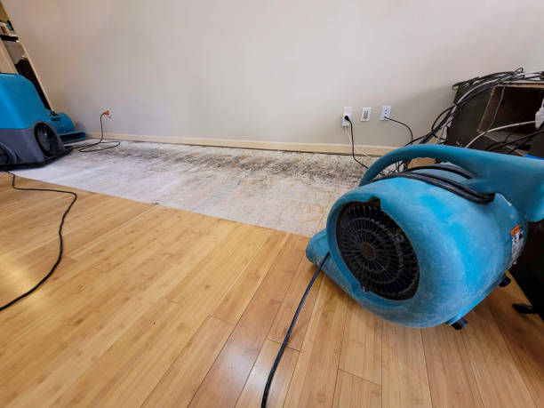 Professional Basement Flood Cleanup technician working in Harsens Island, MI