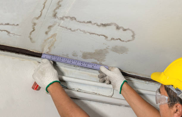 Trusted Basement Flood Cleanup service in Harsens Island, MI - Aqua Guard Water Damage